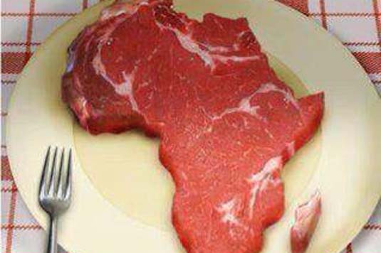 ong-occidentales-afrique